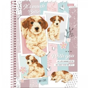 CAD. UNIV. C.D 80FLS FORONI SMOOGIES REF.3169486-7