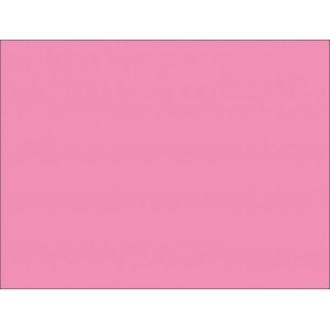 CARTOLINA 50X66 140G