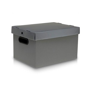 CAIXA ORGANIZADORA POLIONDA 35X25CM