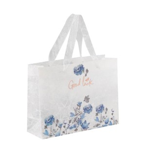 SACOLA PLASTICA DECORADA DAC GOOD LOCK 8,5X19X25 CM REF 3399