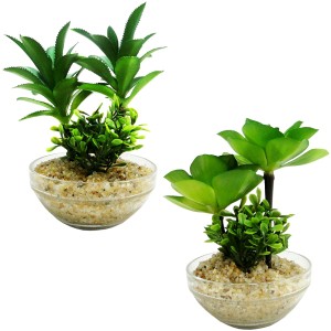 FLOR ARTIFICIAL SUCULENTA COM VASO DE VIDRO REDONDO 16X10,5CM 8