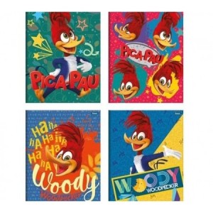 CADERNO 1/4 BROCHURA CD 96FLS PICA PAU