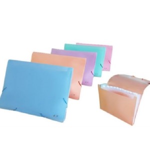 PASTA SANFONADA A4 12 DIVISÕES  LARANJA PASTEL